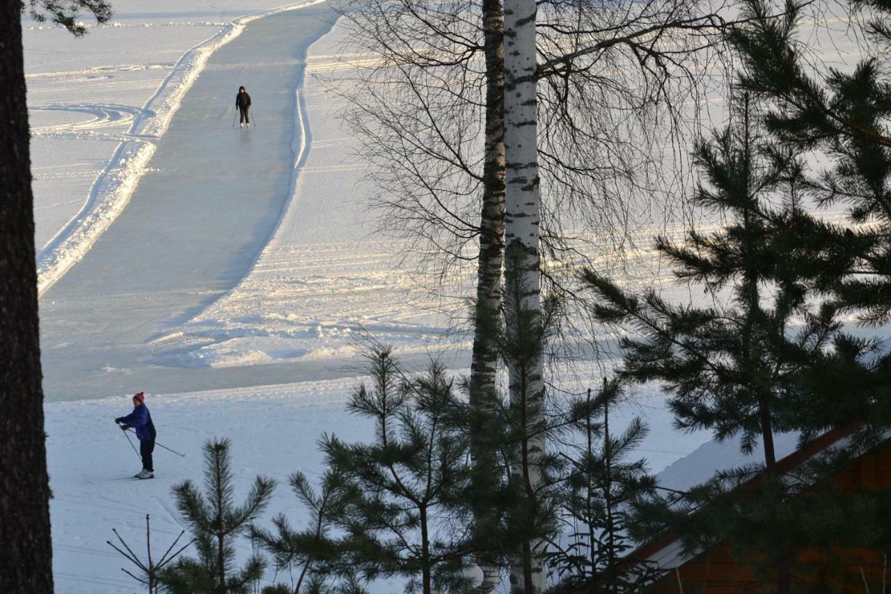Valentin Cottage Enonkoski 외부 사진